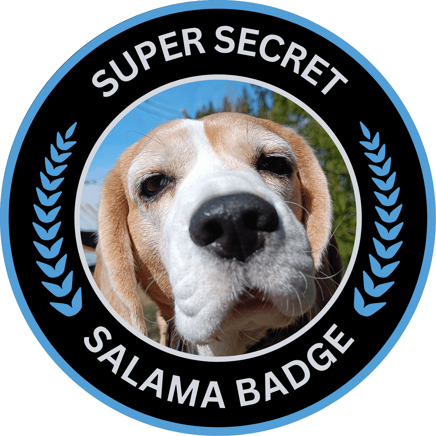 SUPER SECRET SALAMA BADGE